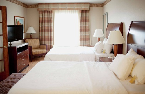 Downtown Hotel | Hilton Garden Inn Rochester Downtown, MN