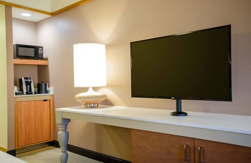 Downtown Hotel | Hilton Garden Inn Rochester Downtown, MN