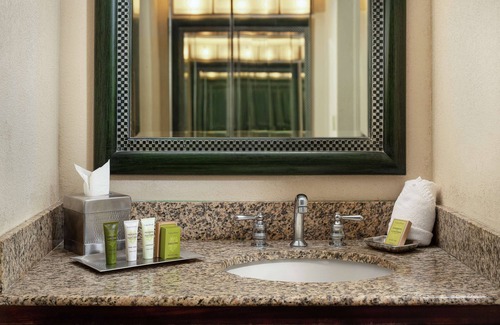 Lake Buena Vista Complejo | Hilton Orlando Lake Buena Vista - Disney Springs® Area
