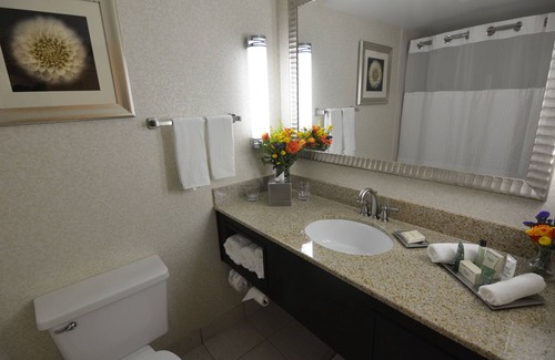 West Palm Beach Hotel | Hilton Palm Beach PBI