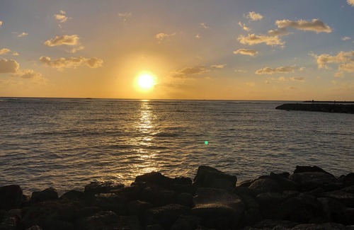 Northeast Virginia Beach Complejo | Hilton Waikikian Resort. Beautiful location at Hilton Hawaiian Village for Xmas