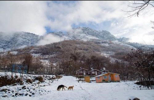 Brein Casa | Himalayan Huts