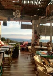 Dharamshala Casa | Himalayan Musaafir Guest House & Restaurant