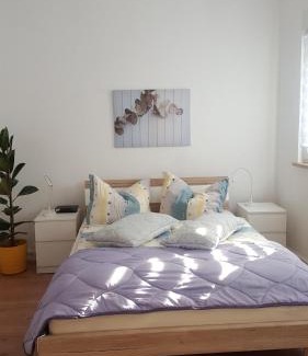 Ilmenau Apartamento | Himmelblau