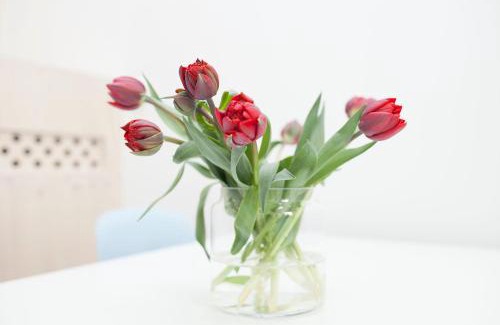 Haarlemmerbuurt Apartamento | hip & stylish apartment in center, near trainstation, 15 min walk