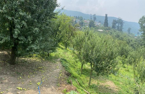 Kullu Casa | Hippies farmhouse