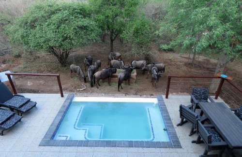 Marloth Park Villa | Hippo's Honk at Kruger
