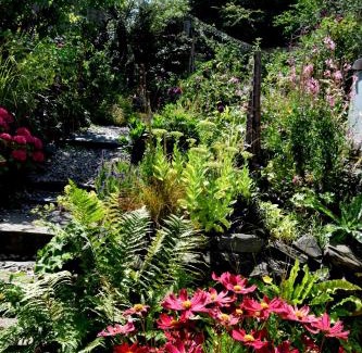 Llangollen Cama Y Desayuno | Hiraeth Homestay xxx