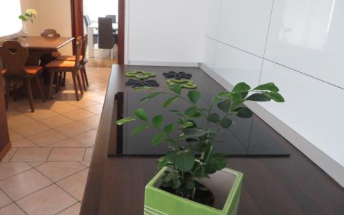 Kobarid Apartamento | Hisa Lescer