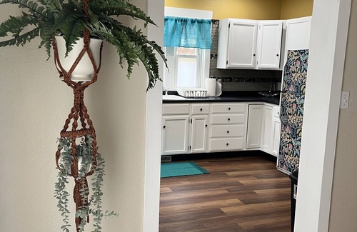 Appleton Casa | Historic City Park home within walking distance to all downtown has to offer!