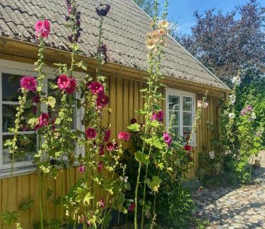 Skane-Tranas Casa | Historic Cottage In The Heart Of Österlen