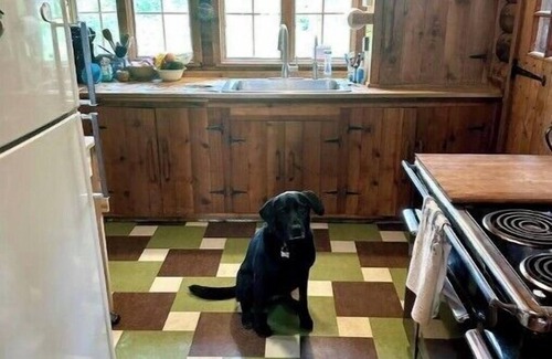 Ely Cabina | Historic Family Cabin on Lake Burntside