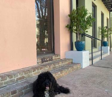 Lower Garden District Apartamento | Historic Garden District 5BR with Parking and Balcony