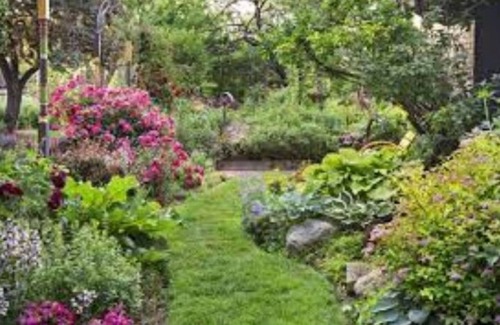 Springfield Casa | Historic House in Quaint Neighborhood