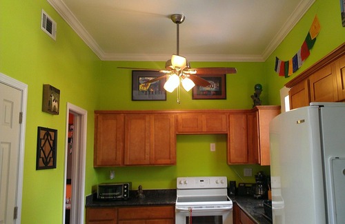 Faubourg Marigny Cama Y Desayuno | Historic Marigny lofted residence, open floor plan, near Frenchman & Bourbon St.