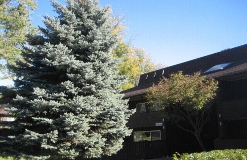 Walla Walla Condominio | Barrio histórico - Cerca de Whitman College - Zona tranquila (TV gratis)