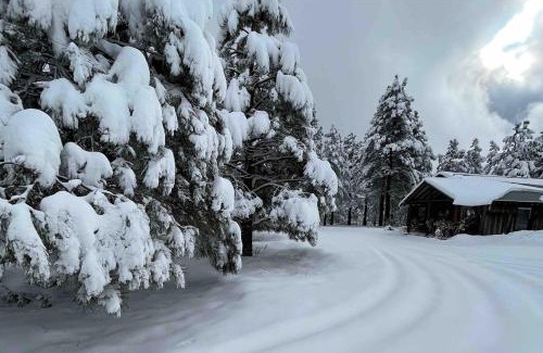 Parks Casa | Historic Parks Ranch Cabin near Williams