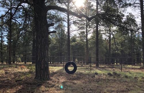 Parks Casa | Historic Parks Ranch Cabin near Williams