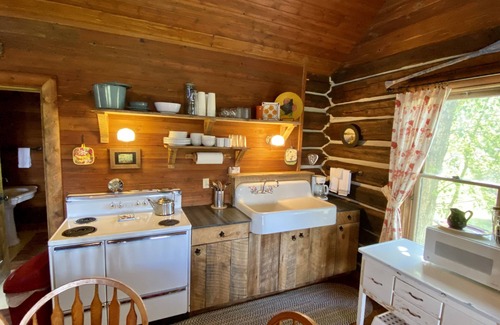 Polson Cabina | Histórico restaurado 1200 Sf Log Lodge con vistas a Flathead La