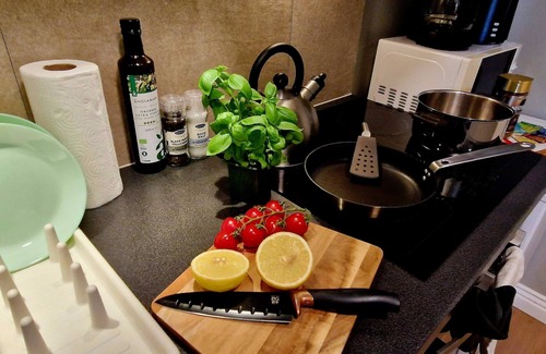 Engen Condominio | Historic retreat in the middle of town