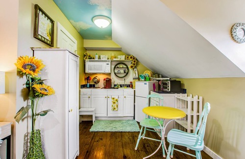 Beach Institute Apartamento | Historic studio with kitchenette & easy parking - near dining & walk to downtown