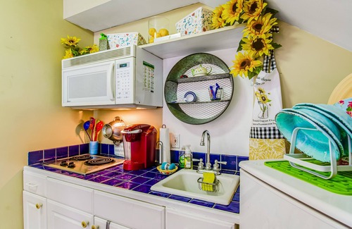 Beach Institute Apartamento | Historic studio with kitchenette & easy parking - near dining & walk to downtown