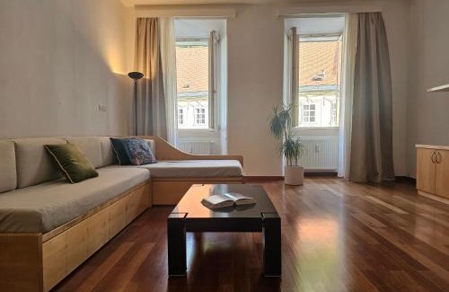 Ljubljana Old Town Apartamento | HISTORIC TOWN HOUSE Apartment
