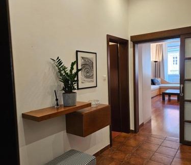 Ljubljana Old Town Apartamento | HISTORIC TOWN HOUSE Apartment