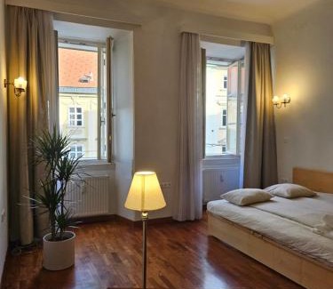 Ljubljana Old Town Apartamento | HISTORIC TOWN HOUSE Apartment