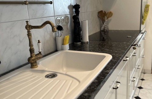Freiburg im Breisgau Apartamento | Historical Luxury Homes - Luxury family suite with terrace