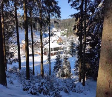 Muhlleithen Casa | Historisches Aschberg Haisl Klingenthal, Terrasse, großer Garten 6 plus 2 Personen