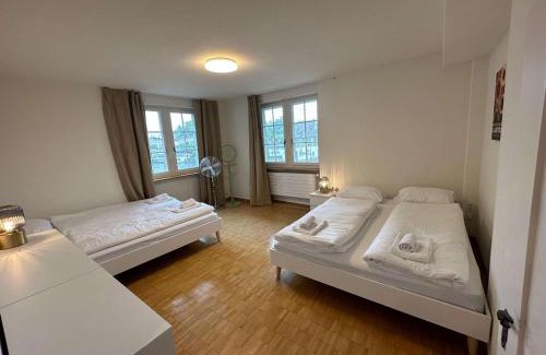 Niederdorf Apartamento | HITrental Limmatquai Apartment