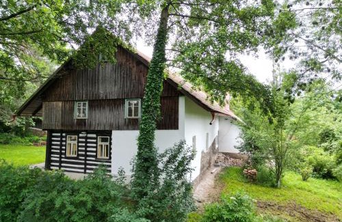 Dobre Apartamento | Hlinné v Orlických horách