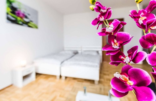 Baumberg Apartamento | HÖ01 large apartment with dryer and washing machine