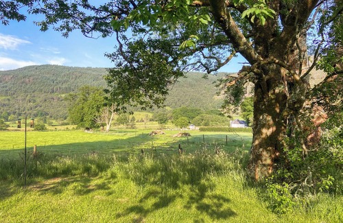 Glendaruel Cabaña | Hobgoblin Apartment - UK42205