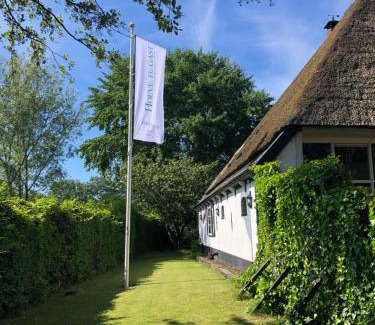 Schoorl Cama Y Desayuno | Hoeve te Gast - vakantieboerderij