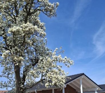 Groemitz Casa | Hof Hagen - "Am Birnenbaum" Neubau