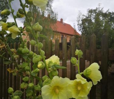 Stapelburg Apartamento | Hof Janne Stapelburg