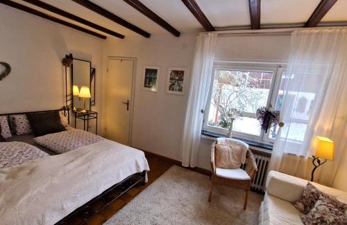 Reichshof Apartamento | Hoffmanns-Hof-Sinspert