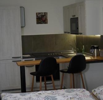 Cheb Apartamento | Hofmann Apartment