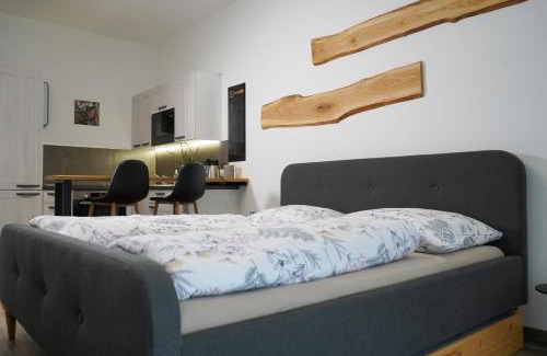 Cheb Apartamento | Hofmann Apartment