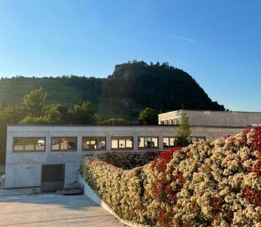 Singen Apartamento | Hohentwiel Apartments