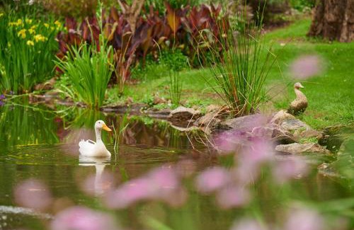 Nannup Cama Y Desayuno | Holberry House
