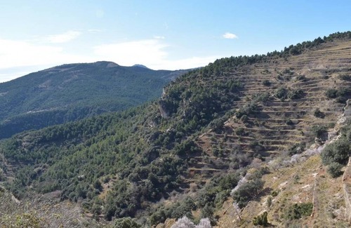 Vistabella del Maestrat Apartamento | Apartamento vacacional Vistabella 1 C REF. 034