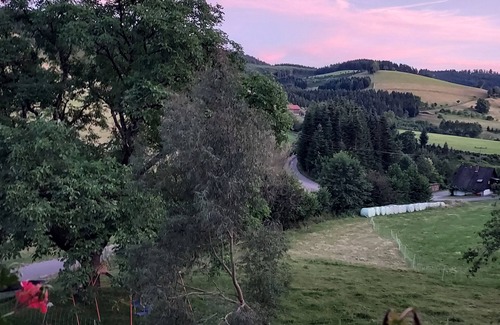 Zell am Harmersbach Apartamento | Apartamento vacacional 'Schwalbennest' con jardín comunitario y Wi-Fi