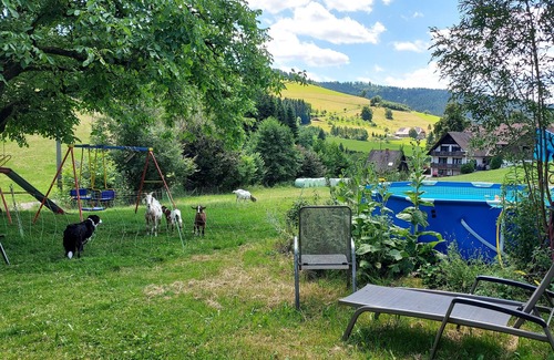 Zell am Harmersbach Apartamento | Apartamento vacacional 'Schwalbennest' con jardín comunitario y Wi-Fi