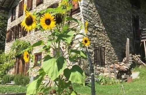 Reichenbach Apartamento | Holiday apartment Hasliberg Hohfluh for 2 - 5 persons with 1 bedroom - Holiday apartment in a farmho