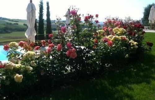 Monte San Vito Apartamento | Apartamento de vacaciones Monte San Vito para 2 - 6 personas con 2 dormitorios - Apartamento