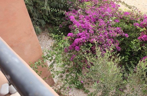 Ait Bihi Apartamento | Apartamento de vacaciones Agadir para 1 - 6 personas con 2 dormitorios - Casa pareada