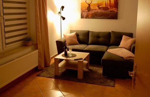 Pobershau Apartamento | holiday apartment/apt. for 6 guests with 63m² in Marienberg (161005)